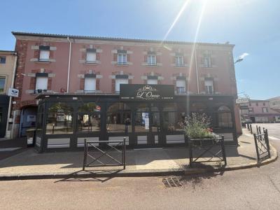For sale Andrezieux-boutheon 326 m2 Loire (42160) photo 4