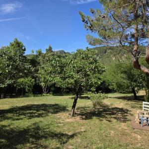 Acheter Maison Buis-les-baronnies Drome