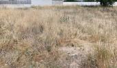 For sale Land Saint-jean-de-monts  911 m2