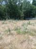 For sale Land Saint-jean-de-monts  913 m2