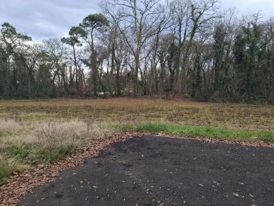 For sale Mont-de-marsan 810 m2 Landes (40000) photo 0