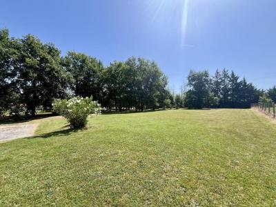 Acheter Terrain 3420 m2 Montauban