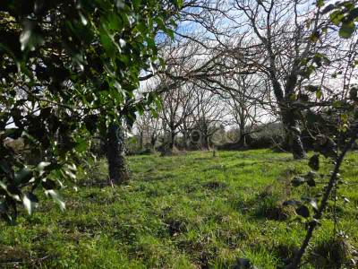 For sale Sauze-vaussais 2856 m2 Deux sevres (79190) photo 1