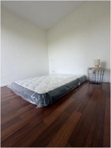 Annonce Location 2 pi�ces Appartement Toulouse 31