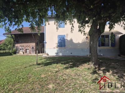Annonce Vente 6 pi�ces Maison Allichamps 52