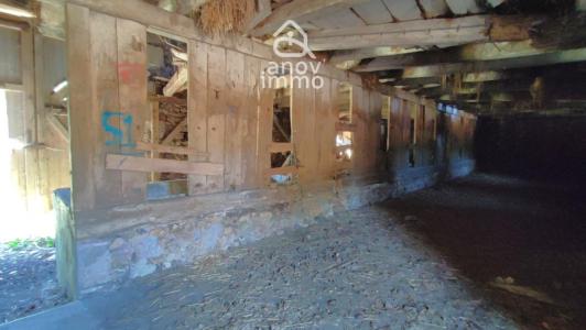 Acheter Terrain Vigeant 50000 euros