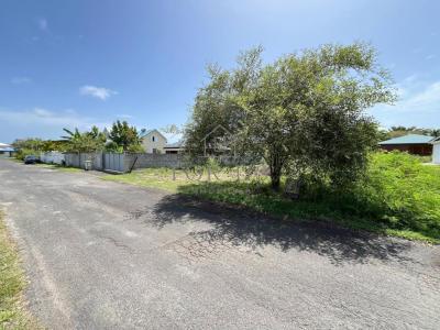 Annonce Vente Terrain Anse-bertrand 971