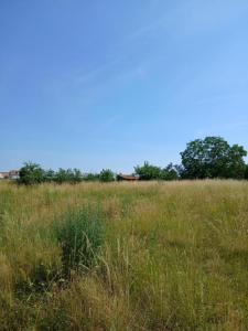 For sale Osthoffen 4 rooms 76 m2 Bas rhin (67990) photo 0