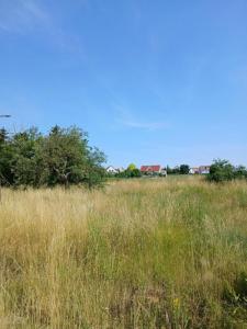 For sale Osthoffen 4 rooms 76 m2 Bas rhin (67990) photo 1