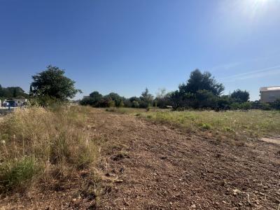 For sale INTERMARCH� 400 m2 Gard (30800) photo 1
