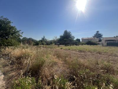 For sale INTERMARCH� 400 m2 Gard (30800) photo 3