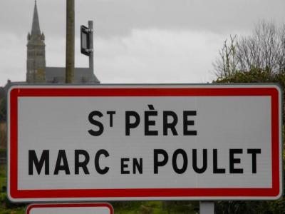 For sale Saint-pere 300 m2 Ille et vilaine (35430) photo 0