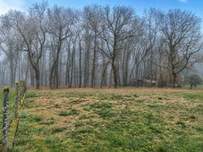 For sale Pechbonnieu 1291 m2 Haute garonne (31140) photo 0