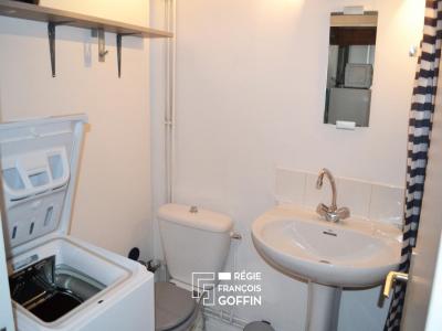 Louer Appartement Lyon-7eme-arrondissement 599 euros
