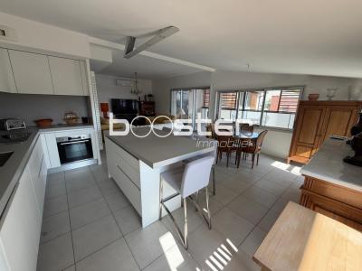 Annonce Vente 5 pi�ces Appartement Toulouse 31