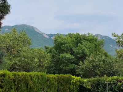 For sale Digne-les-bains 89 m2 Alpes de haute provence (04000) photo 3