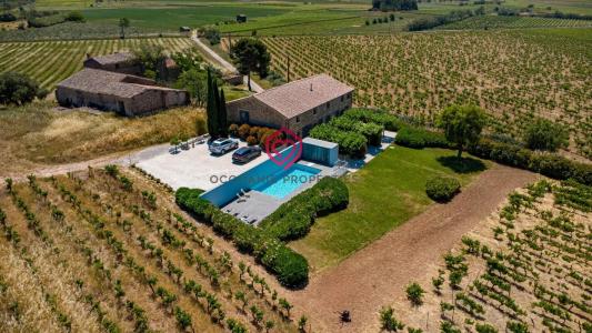 For sale Rieux-minervois 10 rooms 296 m2 Aude (11160) photo 0
