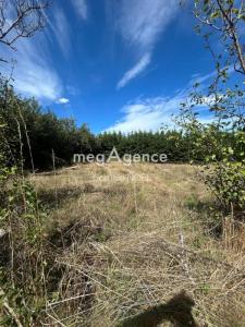 Acheter Terrain Saint-galmier Loire