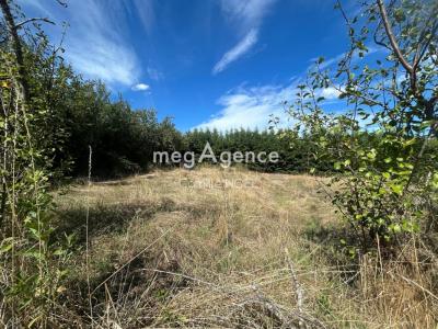 Acheter Terrain 642 m2 Saint-galmier