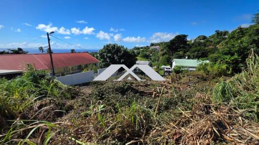 Annonce Vente Terrain Sainte-marie 974