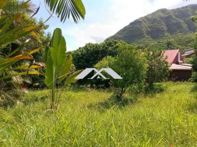 For sale Entre-deux 350 m2 Reunion (97414) photo 1