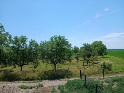 For sale Herrlisheim 4 rooms 45 m2 Bas rhin (67850) photo 2