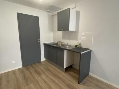 Annonce Location Appartement Nantes 44