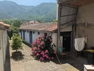 Annonce Vente 9 pi�ces Maison  66