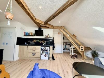 Annonce Location 2 pi�ces Appartement  10