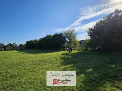 Acheter Terrain 1481 m2 Saint-antoine-la-foret