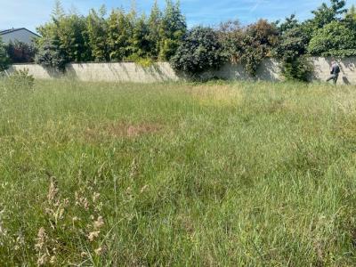 Annonce Vente Terrain Malissard 26