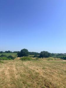 For sale Creon 560 m2 Gironde (33670) photo 1