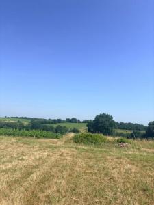For sale Creon 560 m2 Gironde (33670) photo 2