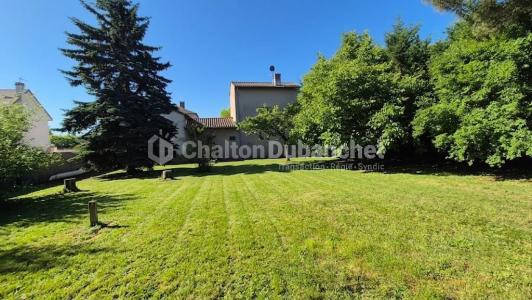 Annonce Vente Terrain Balbigny 42