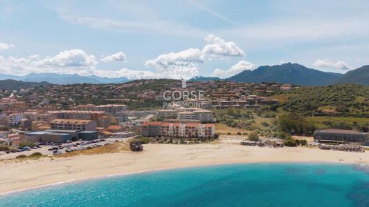 Acheter Appartement Propriano Corse