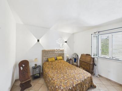 Acheter Maison Ventiseri 380000 euros