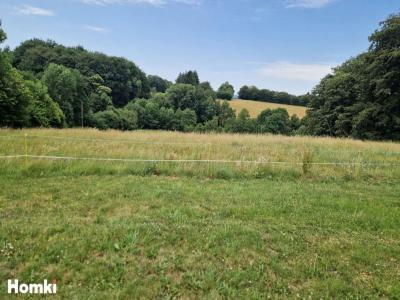 Annonce Vente 9 pi�ces Maison Rialet 81