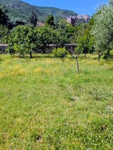 Annonce Vente Terrain  66