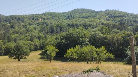 Acheter Maison 419 m2 Clermont-sur-lauquet