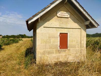 Annonce Vente Terrain Sainte-eulalie 33
