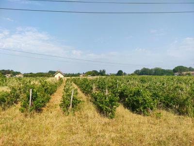 Acheter Terrain Sainte-eulalie Gironde