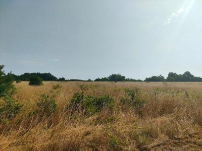 Annonce Vente Terrain Sainte-eulalie 33