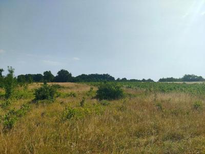 Acheter Terrain Sainte-eulalie 99000 euros