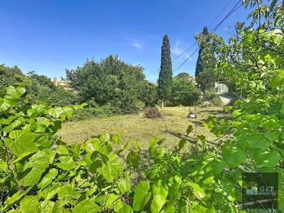 Acheter Terrain 1123 m2 Carqueiranne