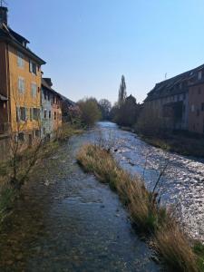 Louer Appartement Thann 499 euros