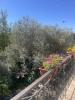 For sale House Mages EN BORDURE DU VILLAGE 100 m2 5 pieces