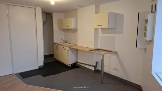 Louer Appartement Tassin-la-demi-lune Rhone
