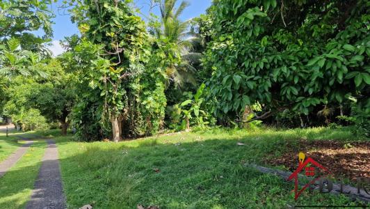 Annonce Vente Terrain Petit-bourg 971