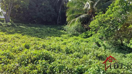 Acheter Terrain Petit-bourg Guadeloupe