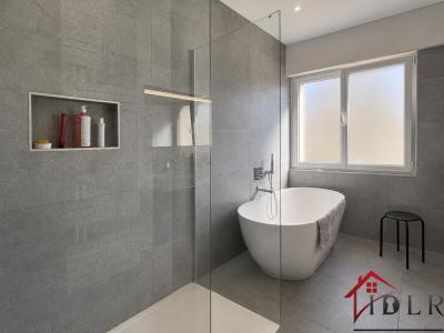 Acheter Maison Montigny-les-metz 465000 euros